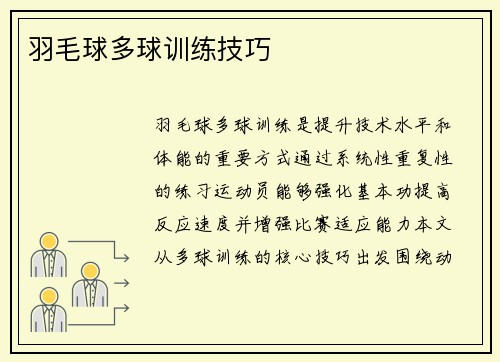 羽毛球多球训练技巧